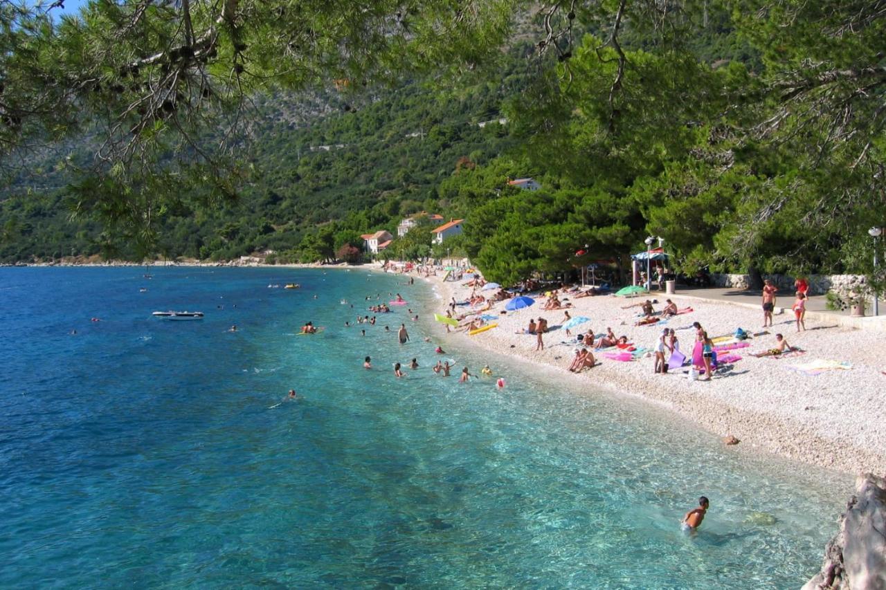 Apartments By The Sea Zivogosce - Porat, Makarska - 20207 Igrane Eksteriør billede