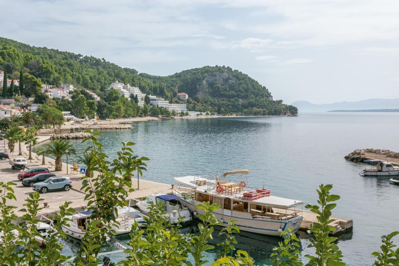 Apartments By The Sea Zivogosce - Porat, Makarska - 20207 Igrane Eksteriør billede